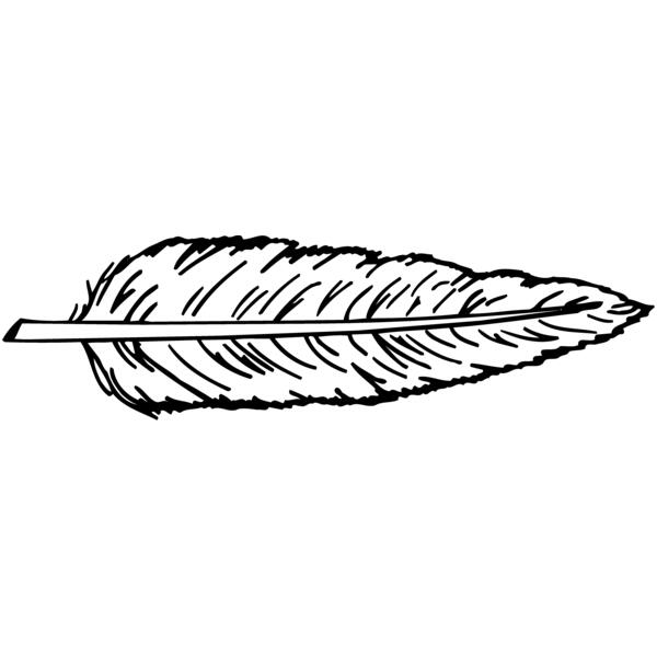 FEATHER Thumbnail